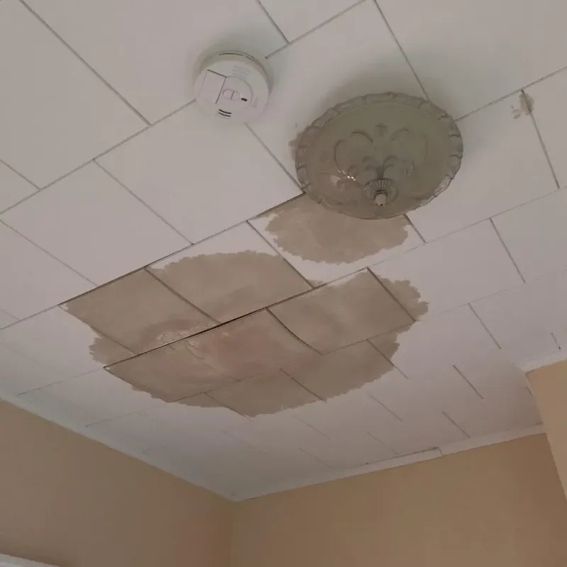 Ceiling Water Damage Repair in California, PA