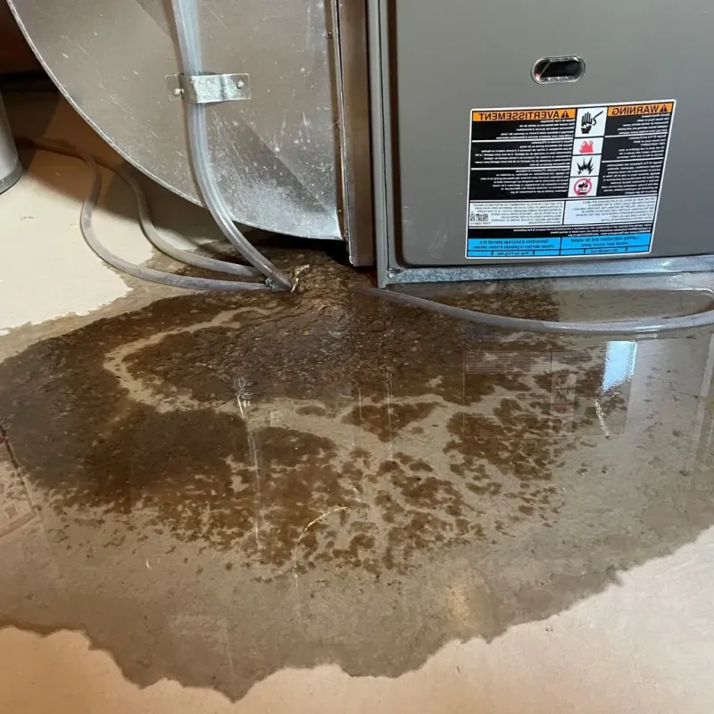 Pipe Burst and Leak Restoration in California, PA