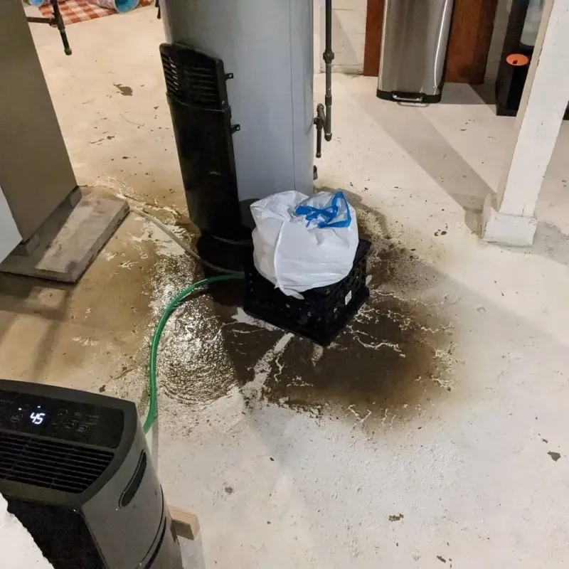 Sewage Backup Cleanup Service in California, PA